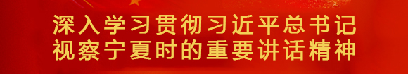 深入學(xué)習(xí)貫徹習(xí)近平總書(shū)記 視察寧夏時(shí)的重要講話精神